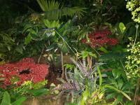 Albums/20200303-Kew Gardens/34